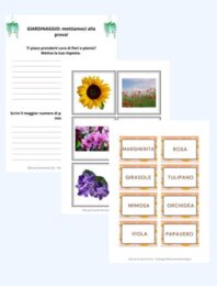 "Attività giardinaggio: fiori e piante"