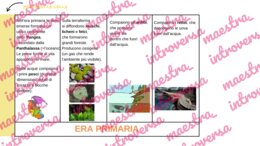 Le Ere geologiche. Linea del tempo_classe terza
