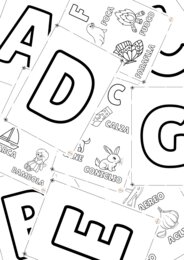 IL MIO LIBRO DELLE LETTERE