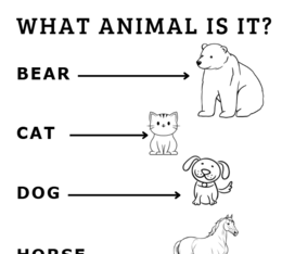 WHAT ANIMAL IS IT? - imparare l'INGLESE in modo facile e divertente (vocaboli: teoria + esercizi)