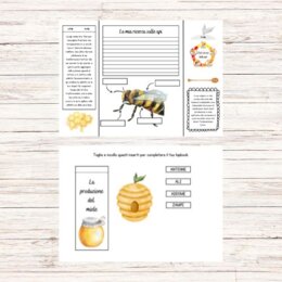 Lapbook sulle api da stampare