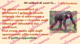 Le origini dell'essere umano_storia classe terza