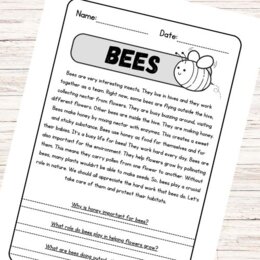 Lettura e comprensione in inglese – Bees