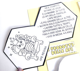 🌼🐝 Alla Scoperta delle Api - Lapbook