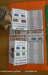 Riccio capriccio e le regolette del plurale delle parole con GIA e CIA in finale