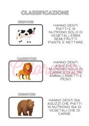 🌿 Alla scoperta degli animali: erbivori, carnivori e onnivori 🐾