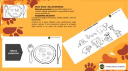 LA CLASSIFICAZIONE DEGLI ANIMALI SECONDO L' HABITAT E IL NUTRIMENTO