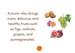 Autumn Flash Cards – Preschool Vocabulary Activities PDF