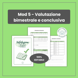 Modulo 5: Valutazione Bimestrale e Conclusiva PEI | Registro Sostegno Editabile