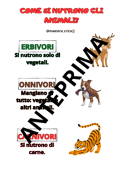 PERCORSO SUGLI ANIMALI