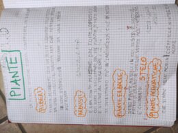 QUADERNO DI SCIENZE classe 4°- per tutto l'anno scolastico