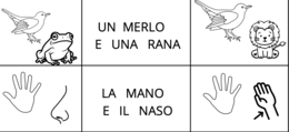 Lettura e comprensione prime frasi