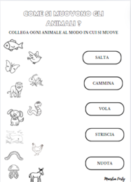 Come si muovono gli animali?