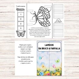 Lapbook da bruco a farfalla