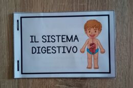 Il Sistema Digestivo - Flip Book