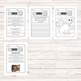 Lettura e comprensione in inglese - Dogs