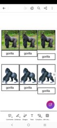 Le carte degli animali