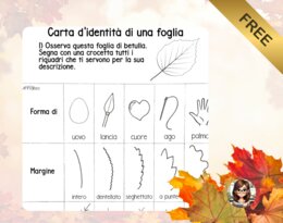 Carta d'identità di una foglia