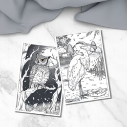 Disegni di uccelli da colorare
