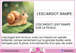 Je commence à lumière!