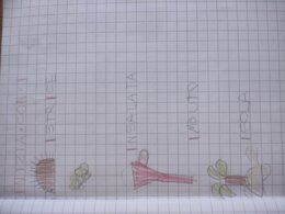 Quaderno di Italiano Classe 1ª - Parte 1: Le Vocali con schede da compilare - 2 in 1 -