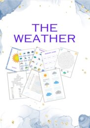 The weather