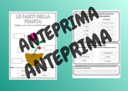 🔬kit Scienze: ripasso - consolidamento - classi 3° - 4° - 5°