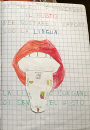Scienze: il gusto, la lingua e i sapori (modellino da costruire)