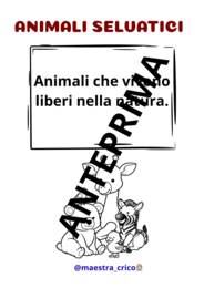 COSTRUISCO IL MIO LIBRETTO DEGLI ANIMALI