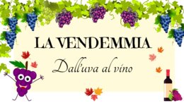 LA VENDEMMIA - DALL'UVA AL VINO -
