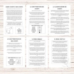 Schede didattiche esseri viventi e non viventi