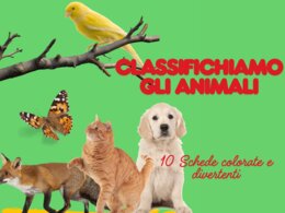 🌿 Alla scoperta degli animali: erbivori, carnivori e onnivori 🐾