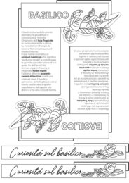 “SuperERBE. Aromi verticali” Estratto STUDIO 8 PIANTE AROMATICHE