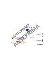 Mappa concettuale: l'articolo