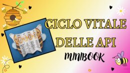 IL CICLO VITALE DELLE API - video lezione e minibook
