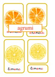 Nomenclatura degli agrumi