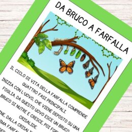 Il bruco e la farfalla schede didattiche