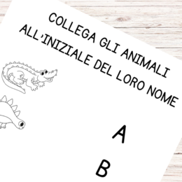 Esercizi italiano prima elementare