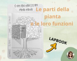 Lapbook: "Le parti della pianta"