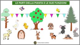 LE PARTI DELLA PIANTA E LE SUE FUNZIONI IN COMPAGNIA DI CHIODINO IL RICCIO E I SUOI AMICI