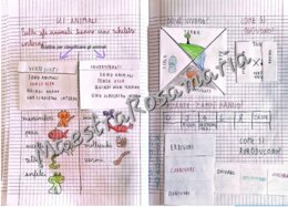 Scienze classe seconda