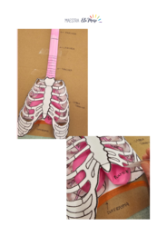 Il Grande Quaderno dei Modellini 3D e Schede Operative: "Le Meraviglie del Corpo Umano" (Mega Pack - 50 Pagine)