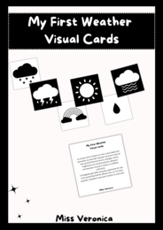 Weather visual cards (high constrast)