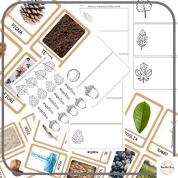 PROGETTO "FELCINO E I MATERIALI NATURALI"