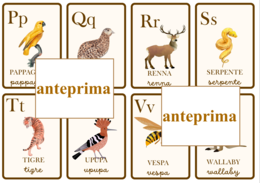 Carte dell'alfabeto degli animali con espansioni per leggere e per scrivere