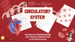 The circulatory system (CLIL)