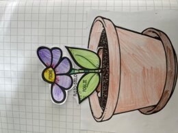 Dal seme al fiore: modellino da costruire