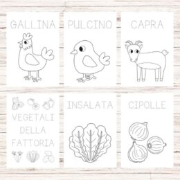 Schede didattiche sulla fattoria scuola dell'infanzia