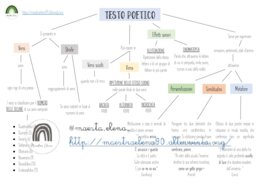 IL TESTO POETICO
