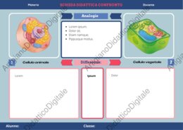 Schede didattiche per competenze: modelli Canva